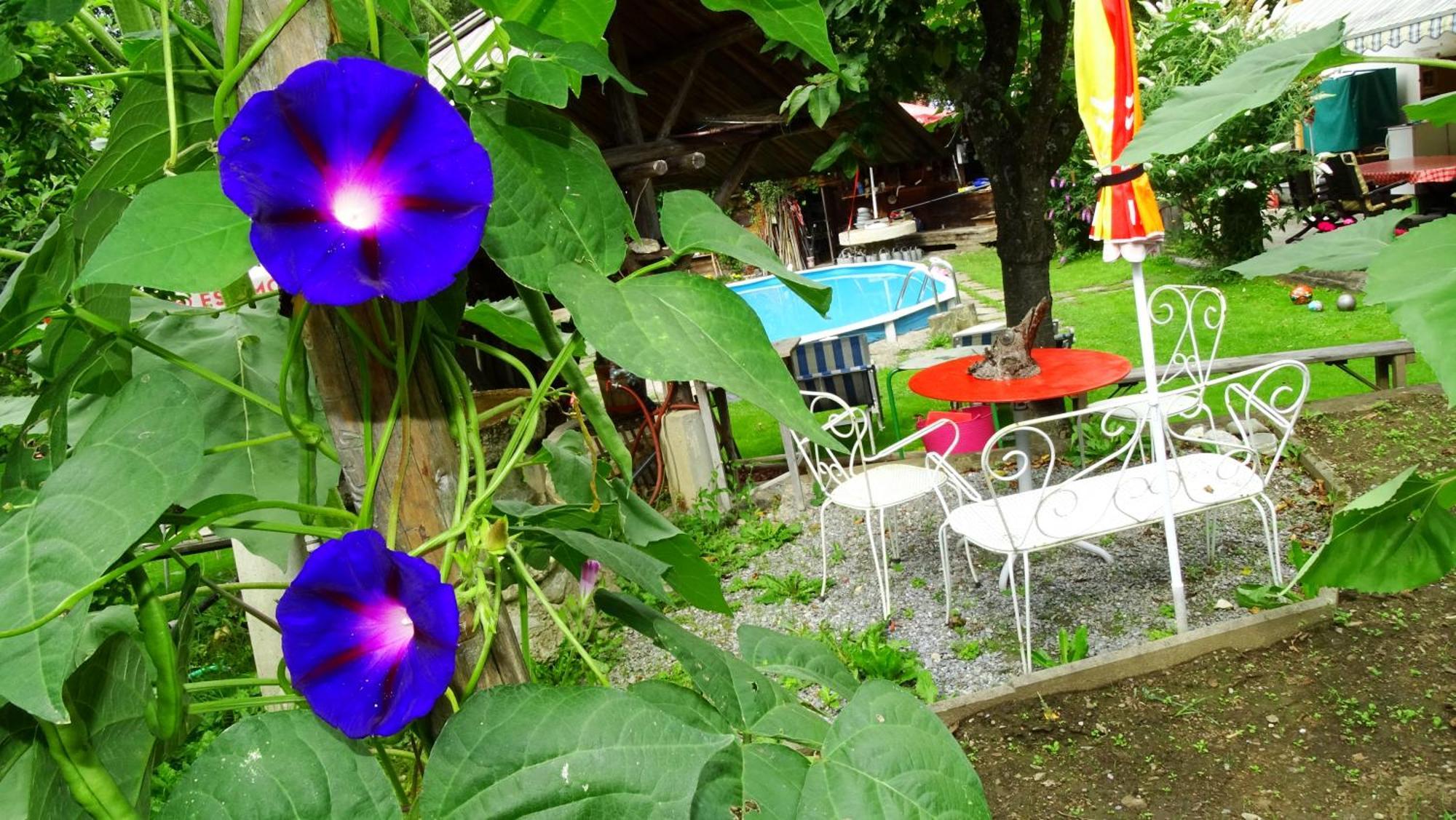 Ferienhaus-Roemerthurm Schöder エクステリア 写真