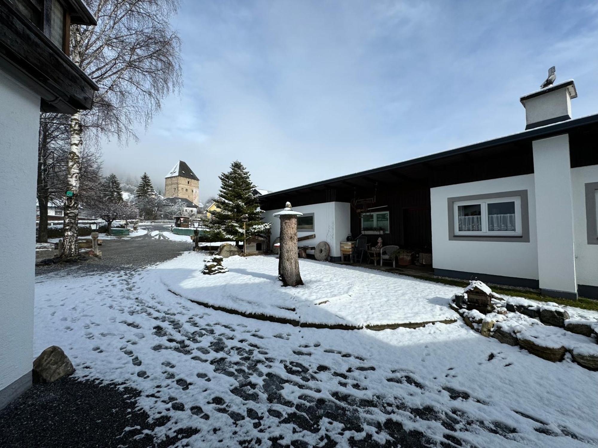 Ferienhaus-Roemerthurm Schöder エクステリア 写真